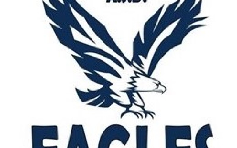 Volley Eagles logo